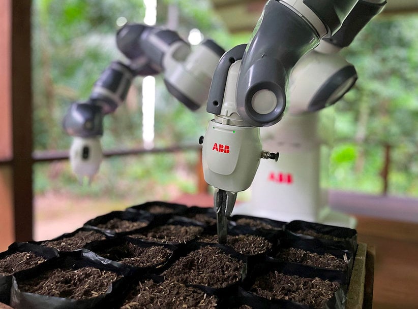 VÄRLDENS MEST AVLÄGSNA ROBOT AUTOMATISERAR PROJEKT FÖR ÅTERPLANTERING AV AMAZONAS REGNSKOG